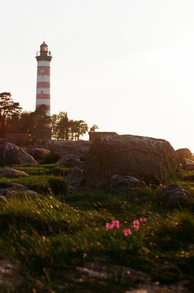 Photograph by Василий Селиванов