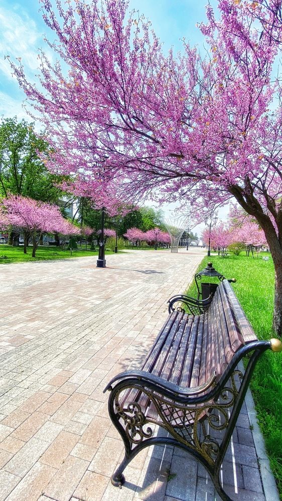 Photograph by Фисун Евгений