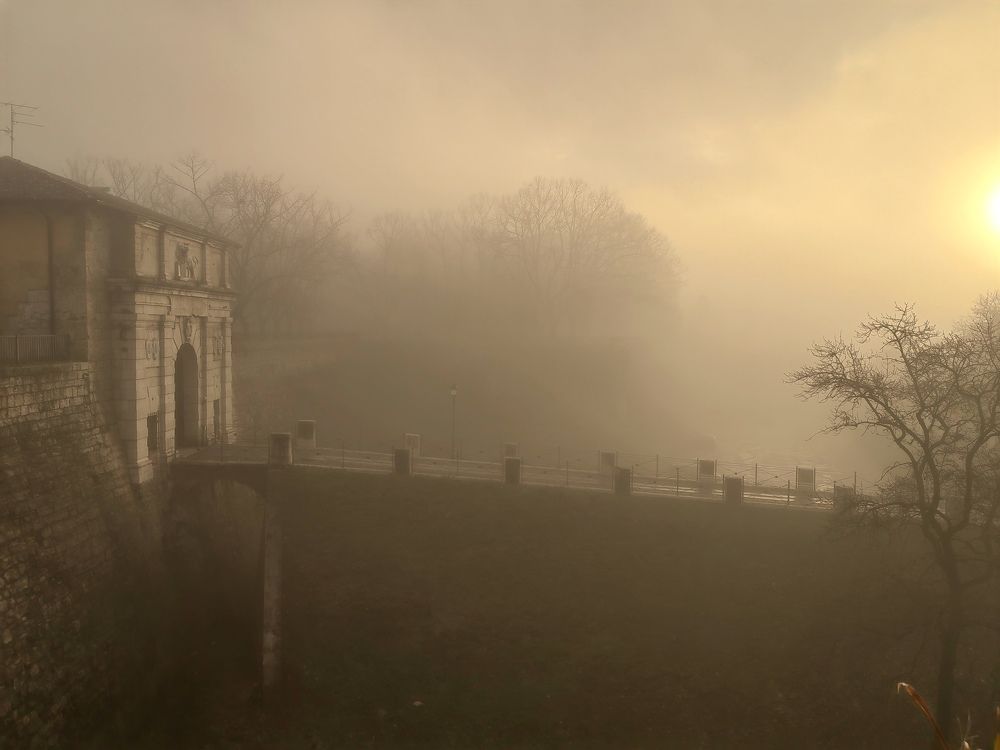 Photograph by Kristina Frizyuk