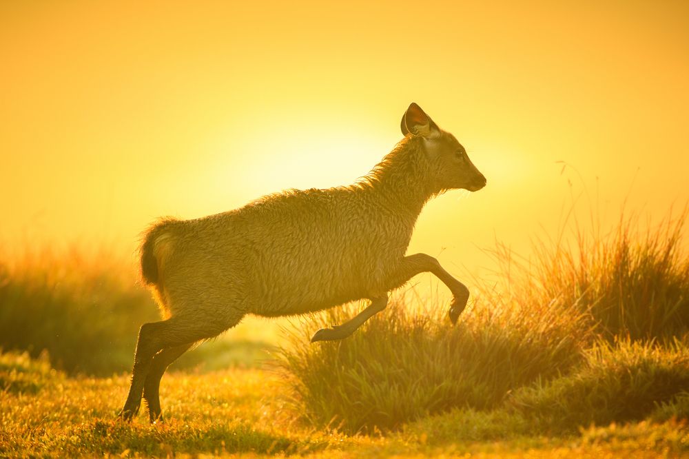 Photograph by Mineth Vismitha