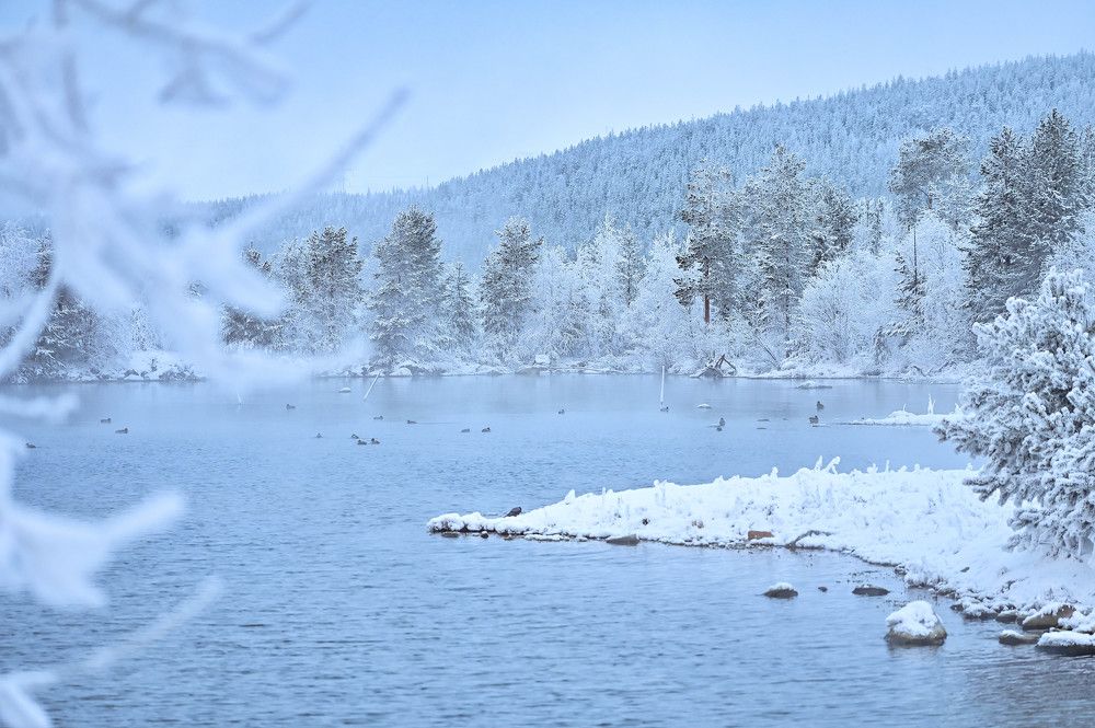 Photograph by Tanzilya Gabidullina