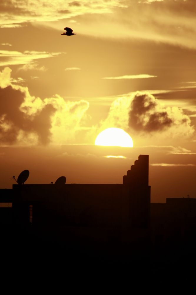Stairs to the sun