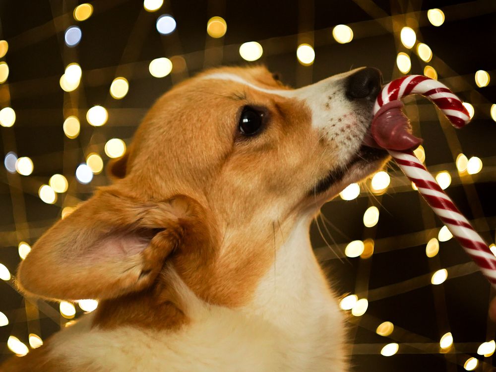 Photograph by Светлана Смирнова