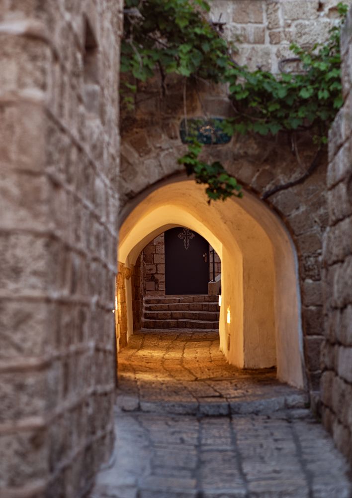 Photograph by Елена Донская