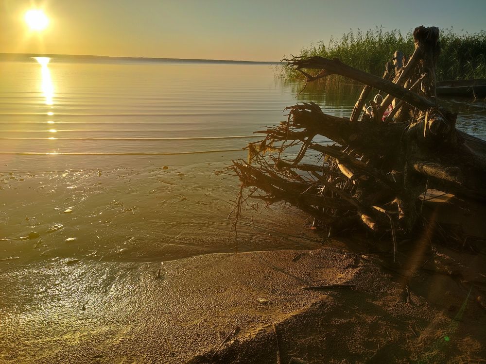 Photograph by Юлия