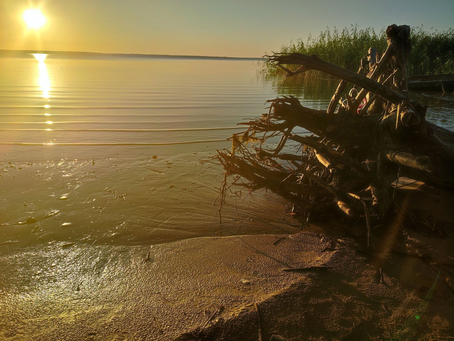 Photo #9927804