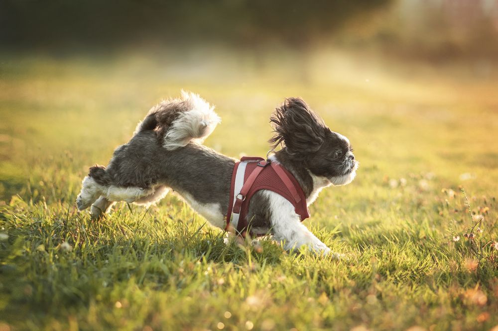 Photograph by Александра Пугачёва