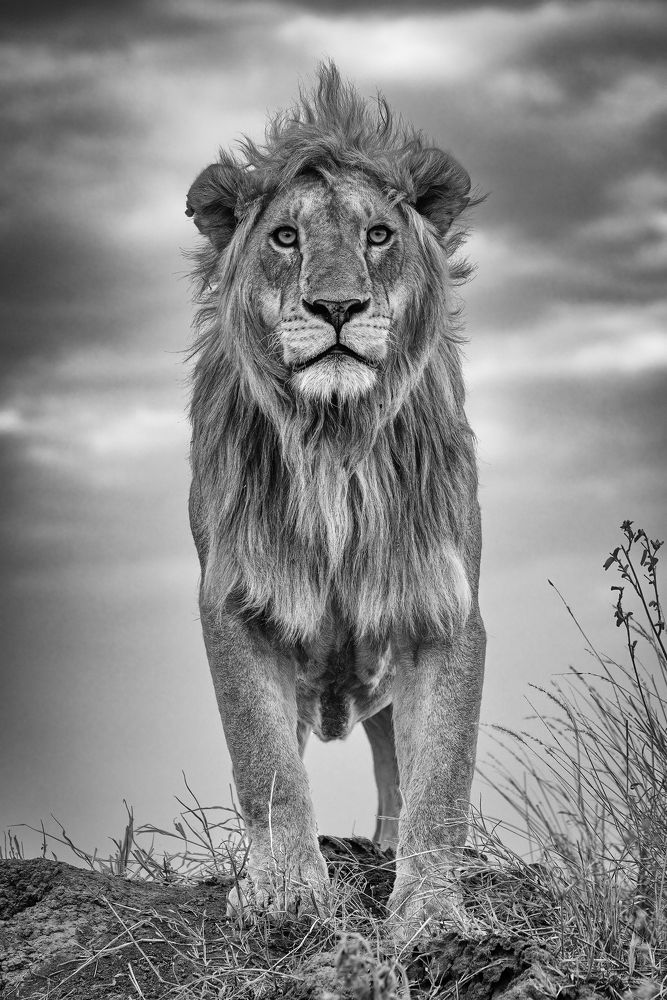 Photograph by Ali Khataw