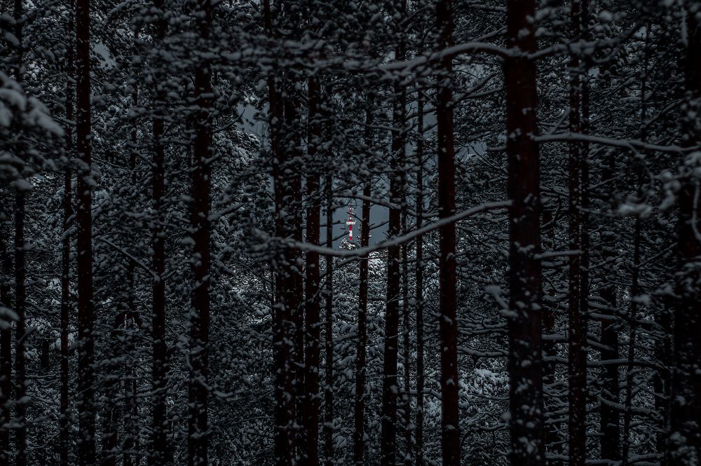 Photograph by Егор Ставер