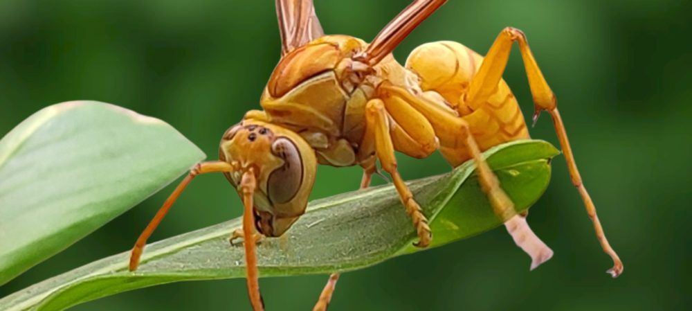 Photograph by GAUTAM GANGULY