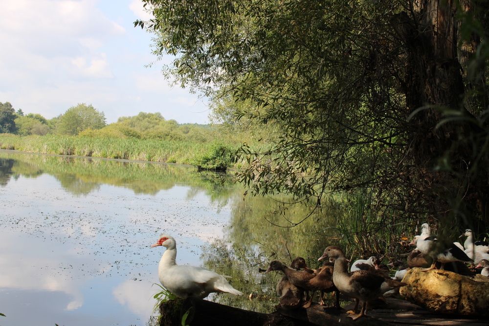 Photograph by Елена Коробченко