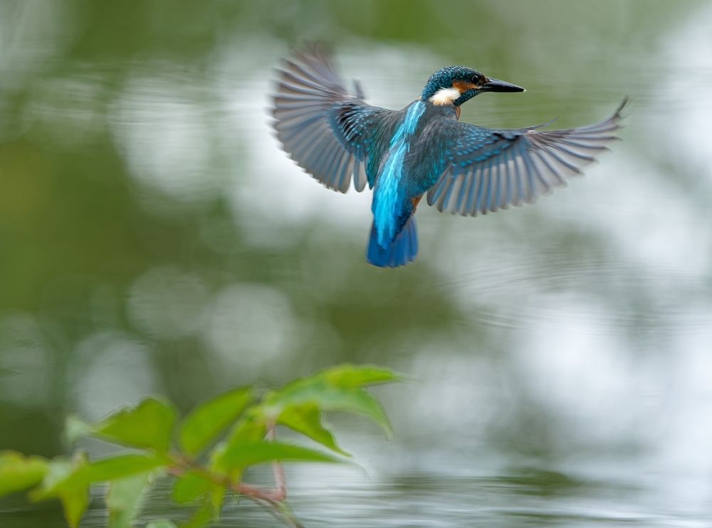 Photograph by Олег Есиков