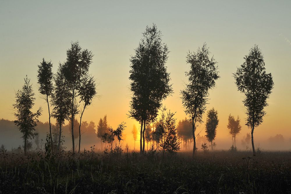 Photograph by Cергей Абакумов