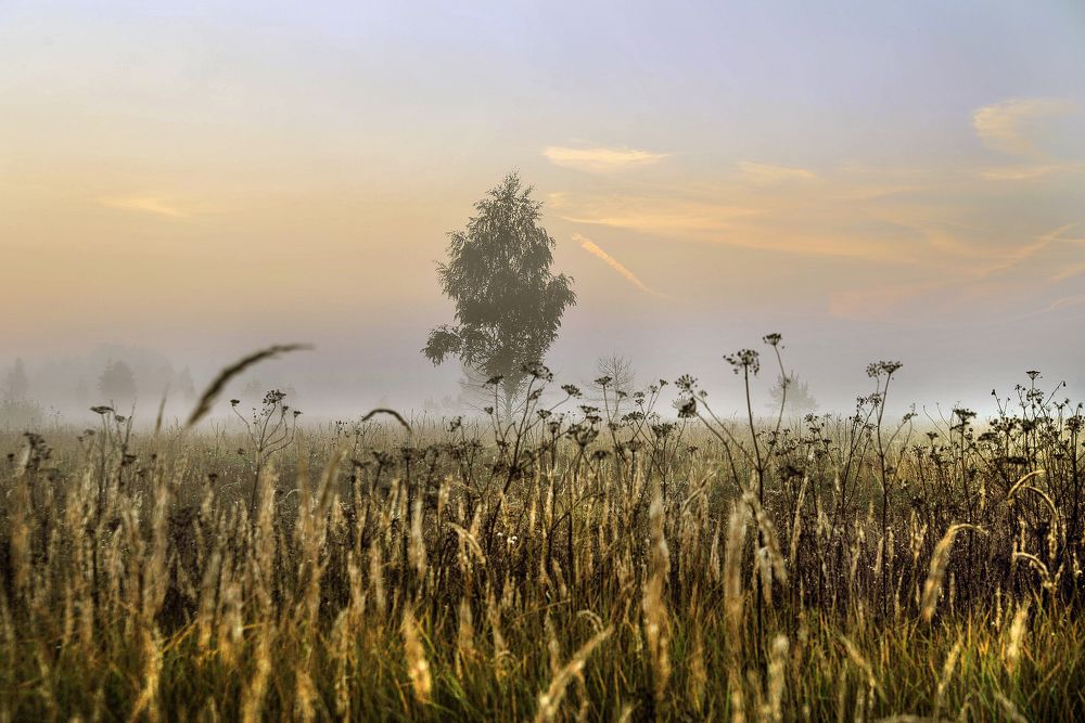 Photograph by Cергей Абакумов