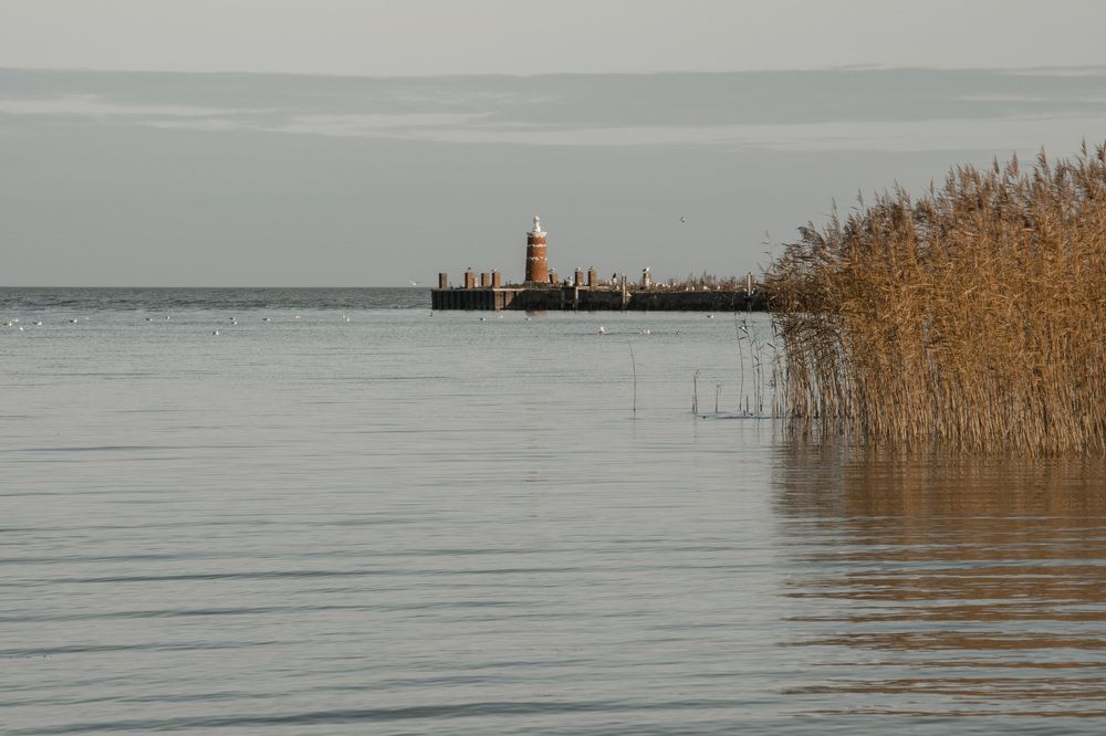 Фотография автора Людмила Куприянова