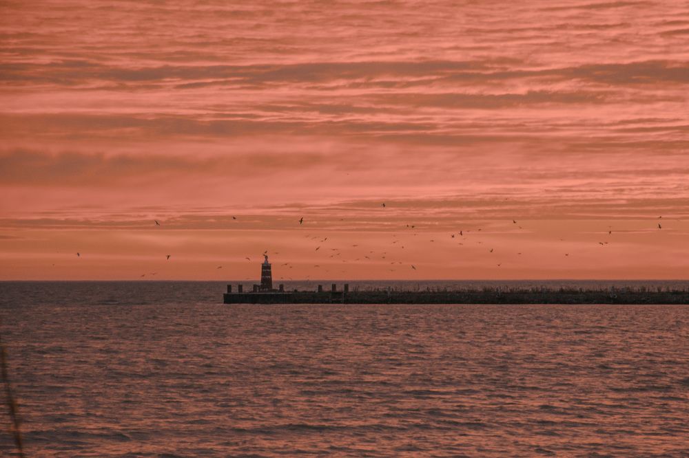 Фотография автора Людмила Куприянова