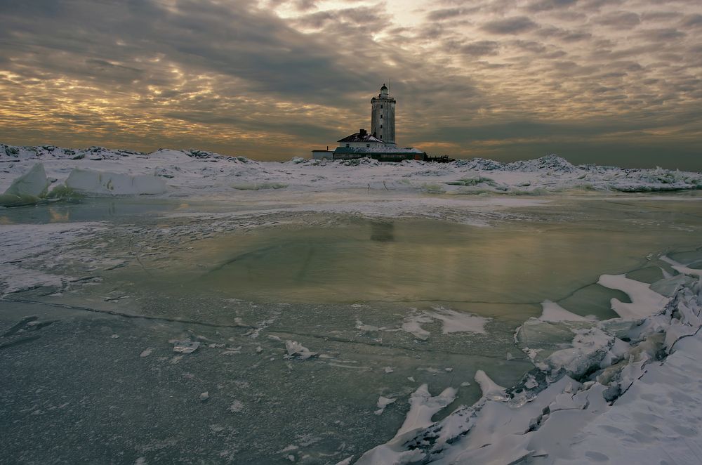 Photograph by Yulia