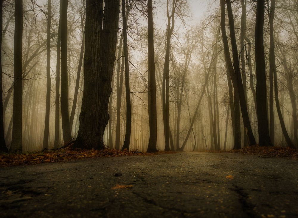 Фотография автора Александр Андреянов