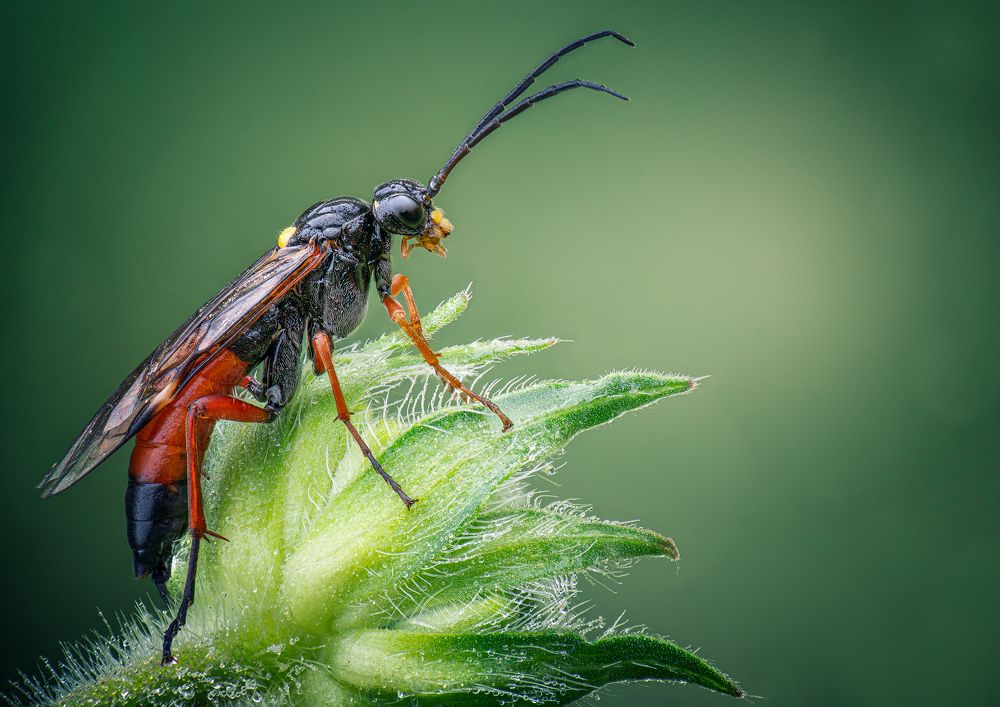 Фотография автора Андрей Жила