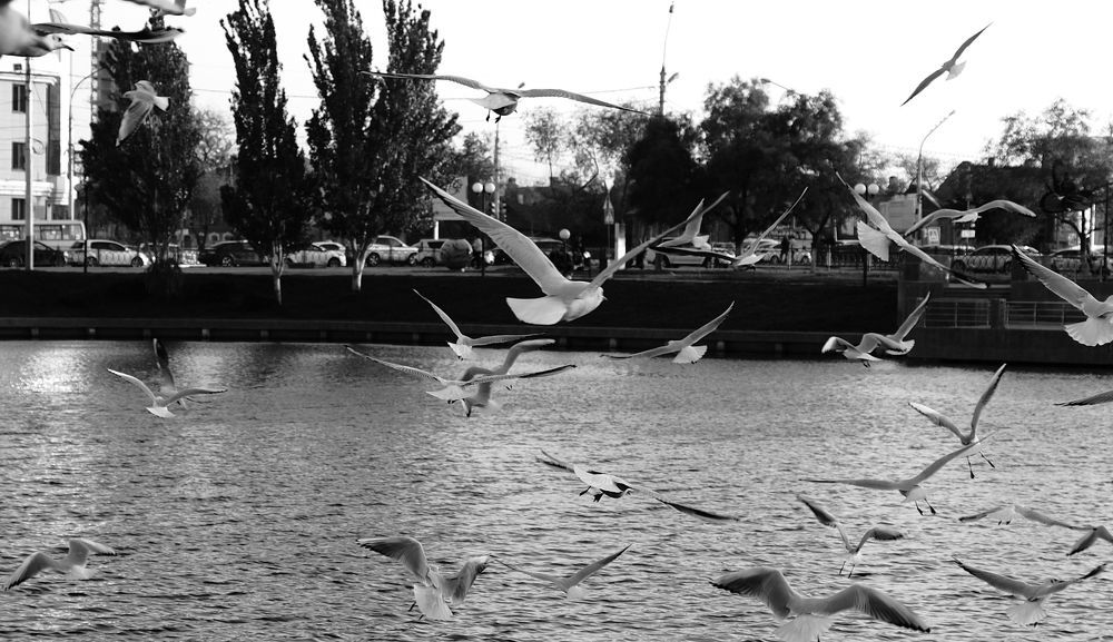 Photograph by Арсен Волынкин