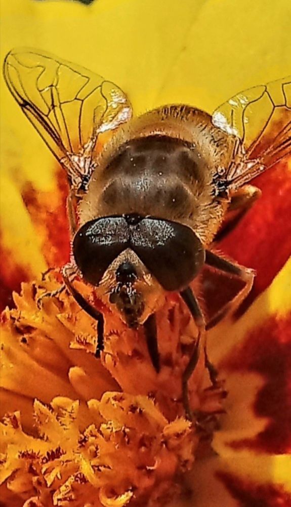 Photograph by Евгений Савулькин