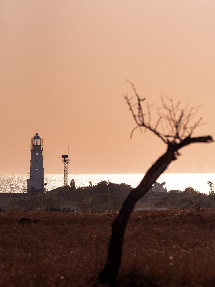 Photograph by Olga Zharkova