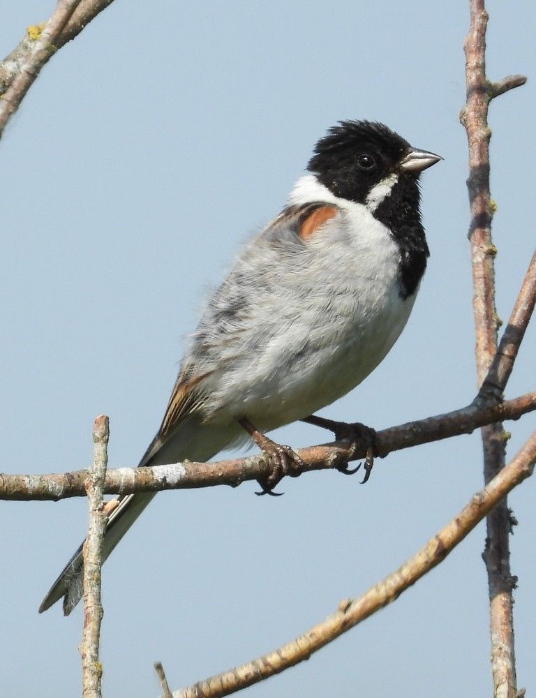 Photograph by Владимир Джерихов