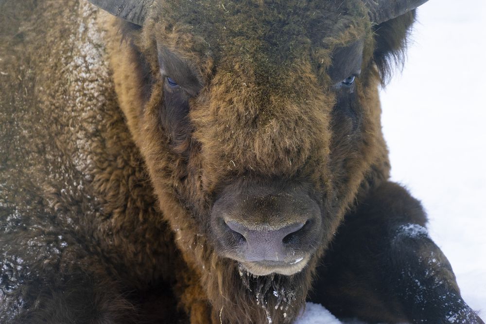 Photograph by Наталья Лягина