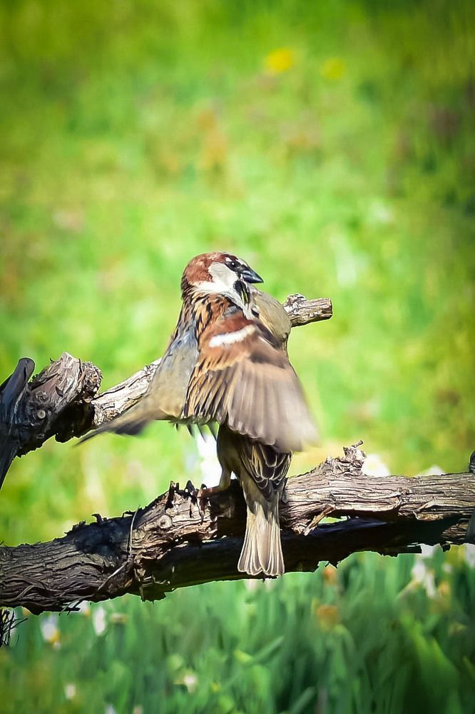 Photograph by Нели Арнаудова