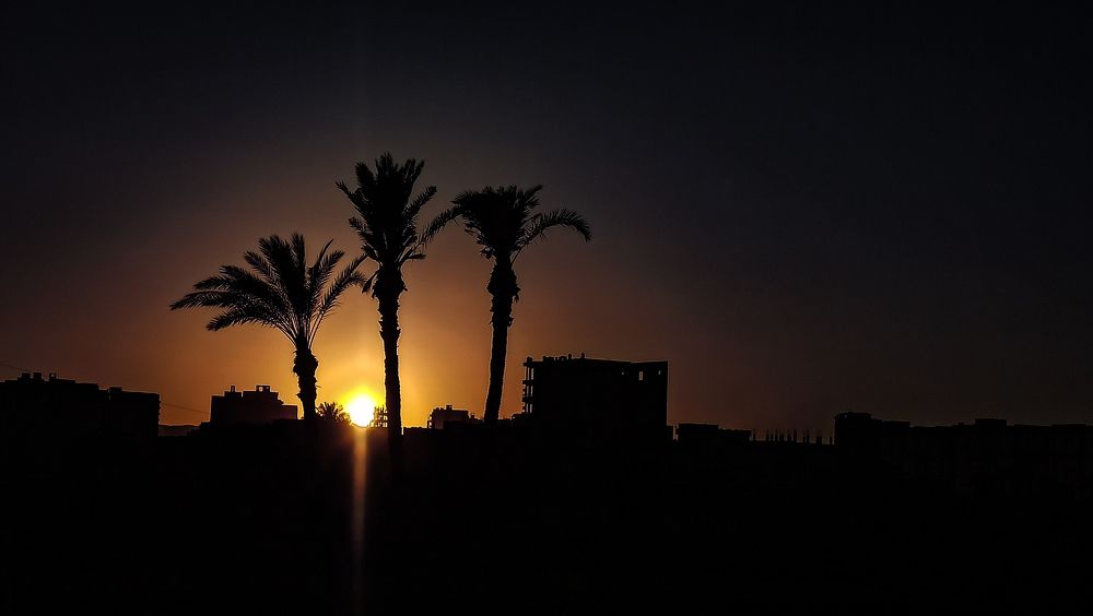 Photograph by Mohamed Saeed Abd-elshafy