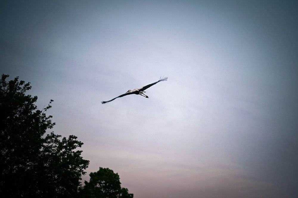 Photograph by Нели Арнаудова