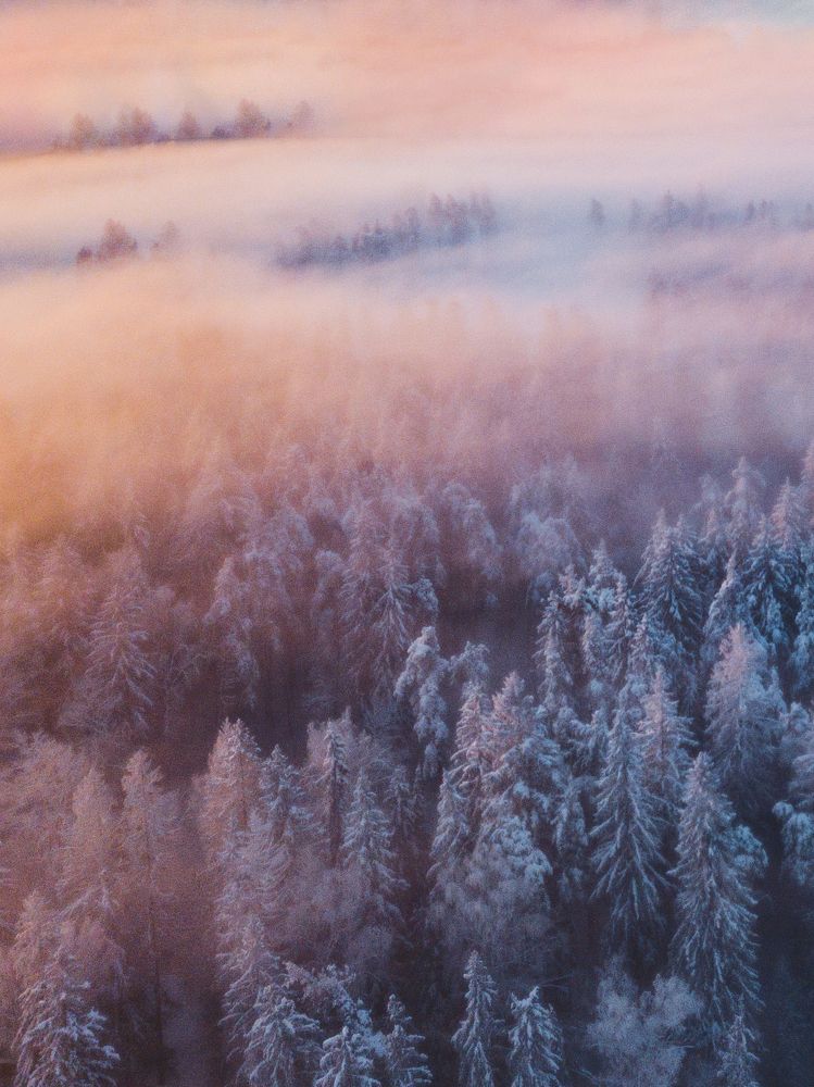 Photograph by Chev Photography