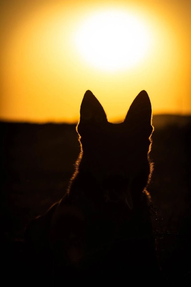 Photograph by Кристина Пушкина