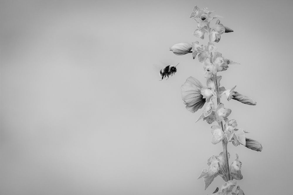 Photograph by Артур Каханский