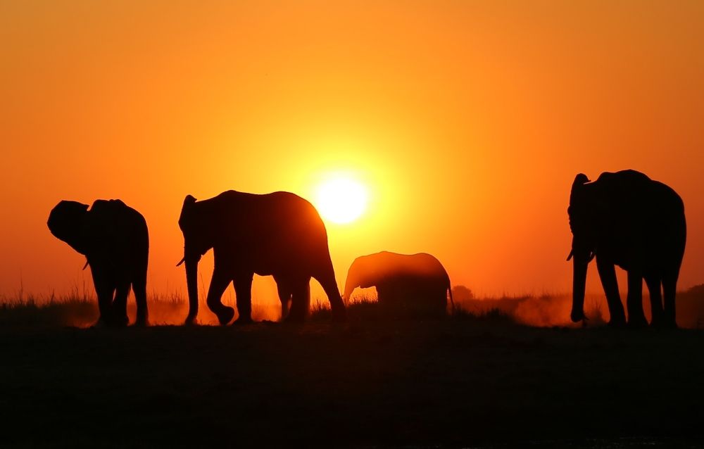 Photograph by Диана Жагрина