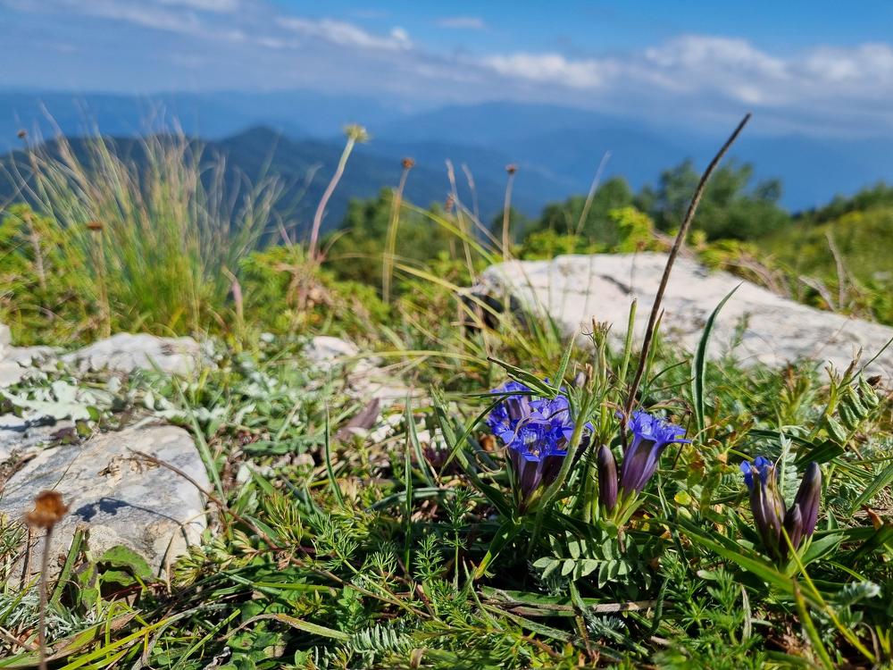 Photograph by Наталья Лягина