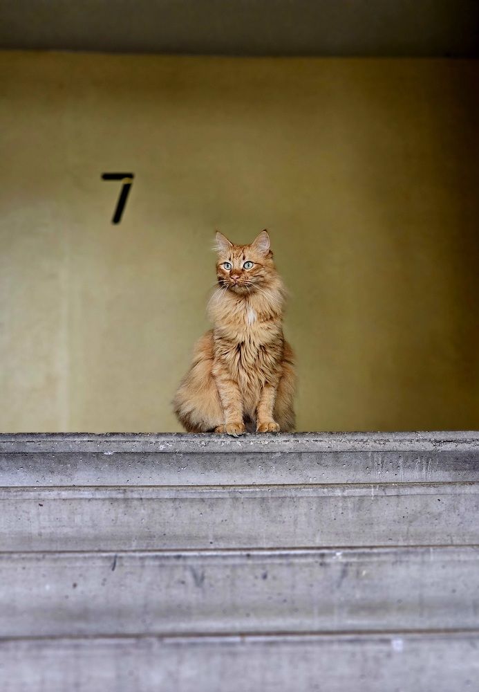 Photograph by Natalija Bucinska