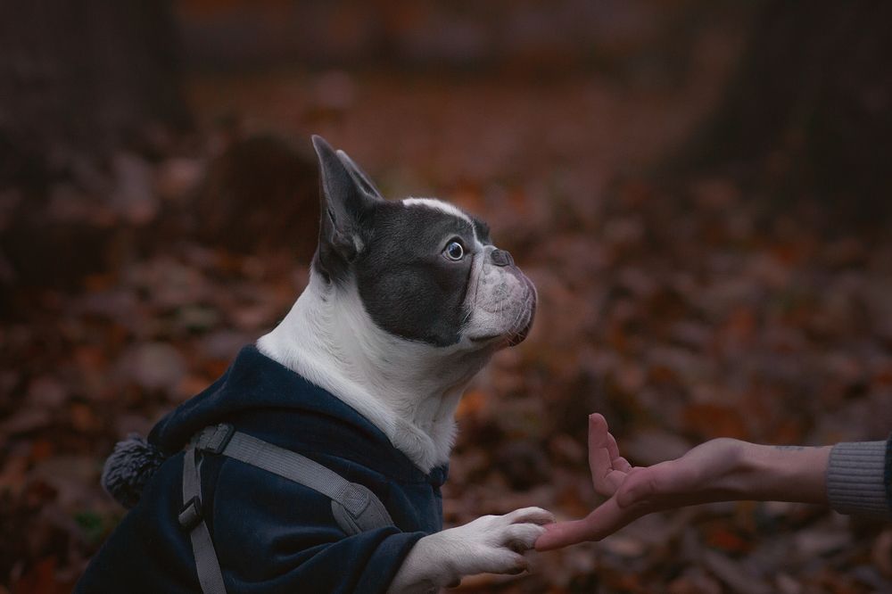 Photograph by Людмила Подольская