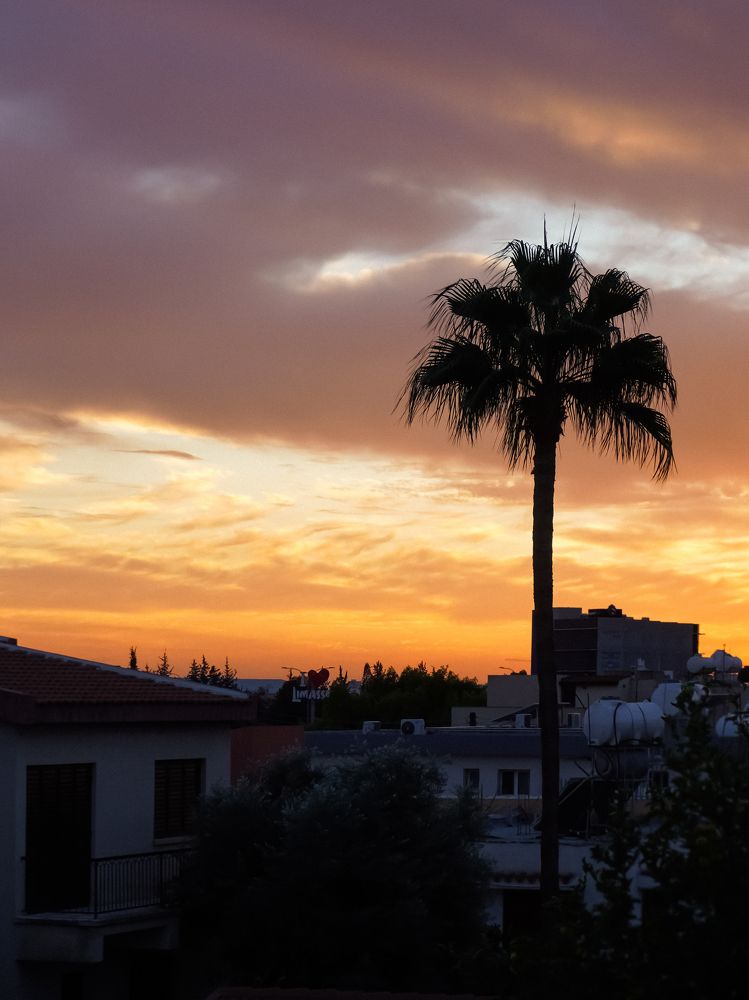 Photograph by Marina Levanov