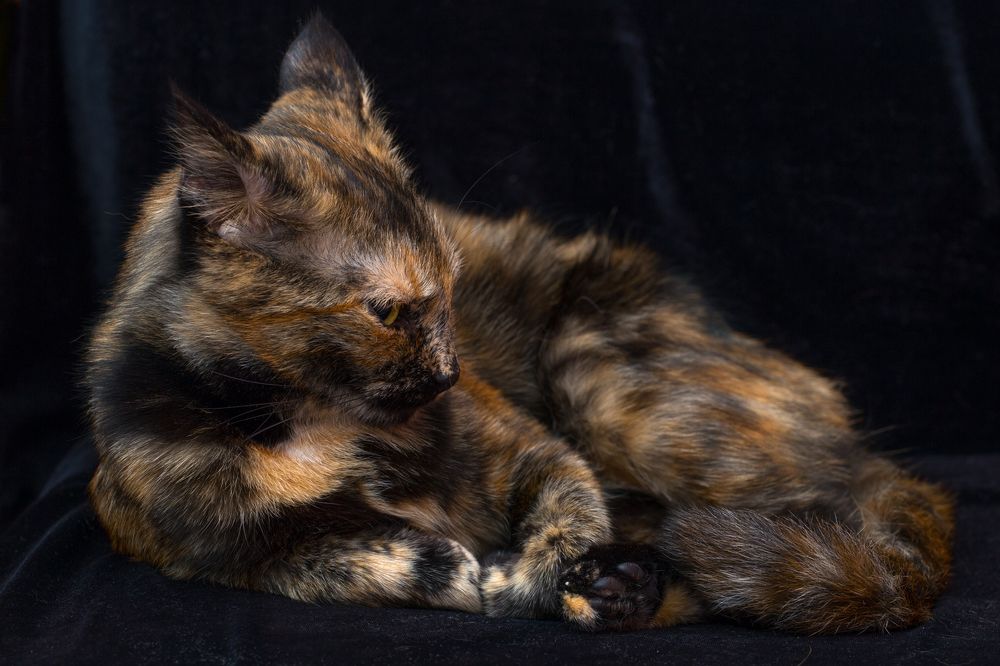 Photograph by Сергей Алексеев