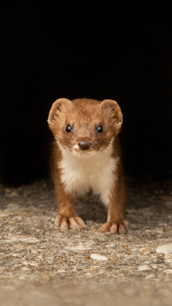 Photograph by Matei Firică