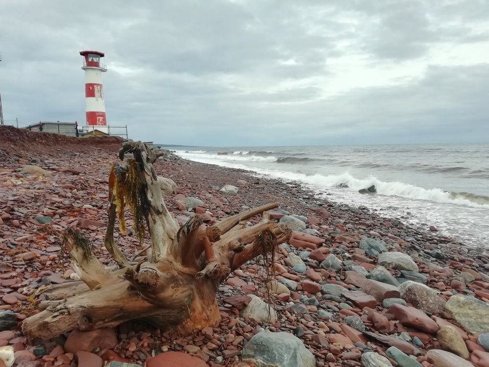 Photograph by Светлана