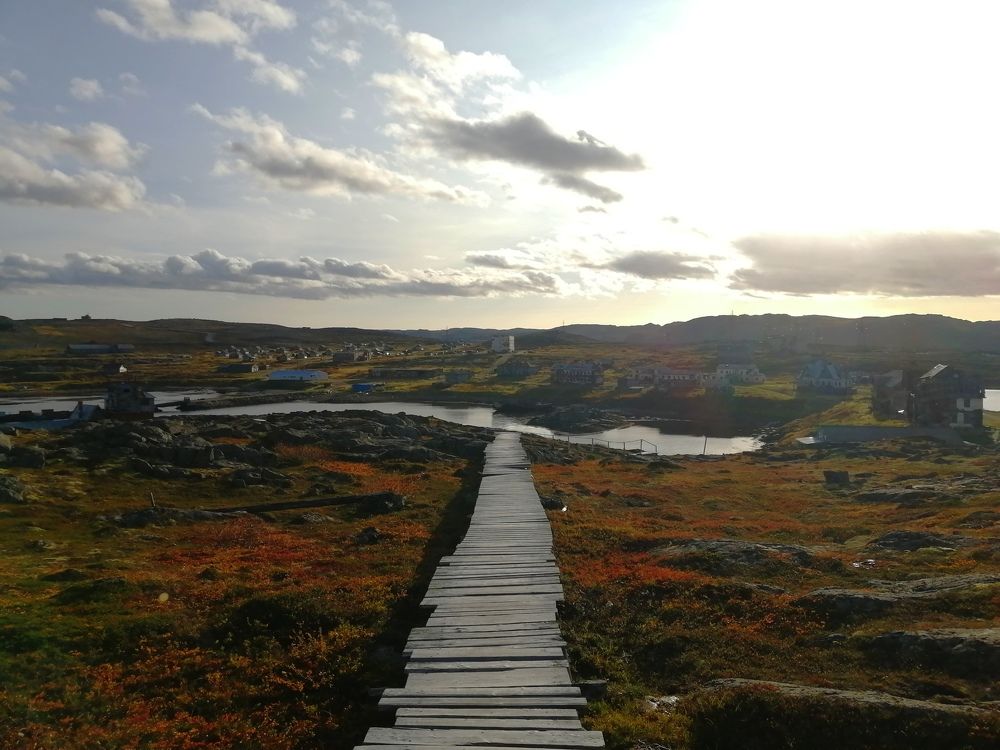 Photograph by Светлана