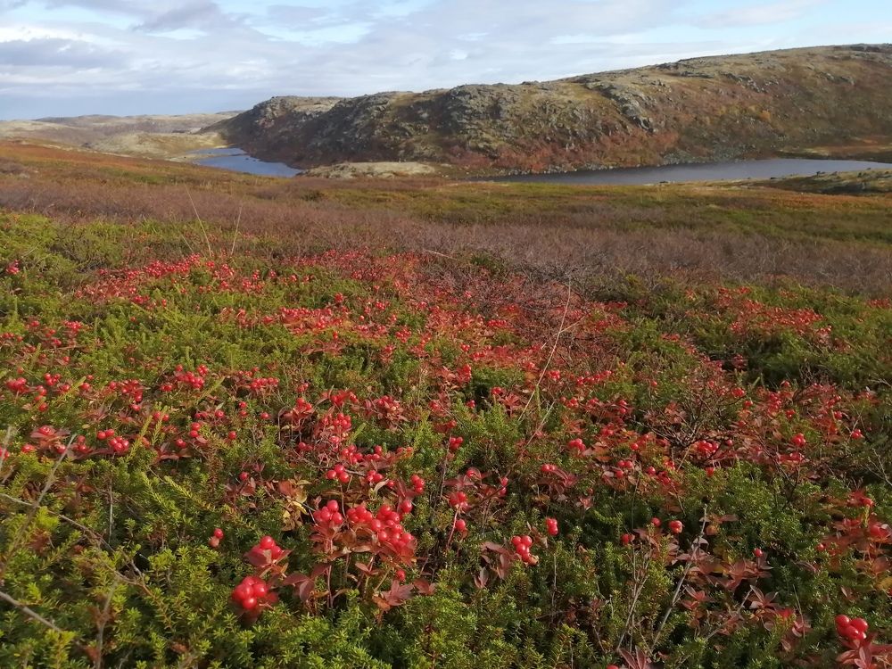 Photograph by Светлана