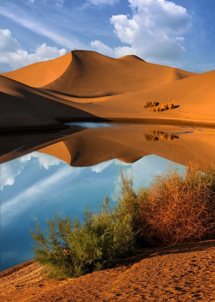 Desert and lake
