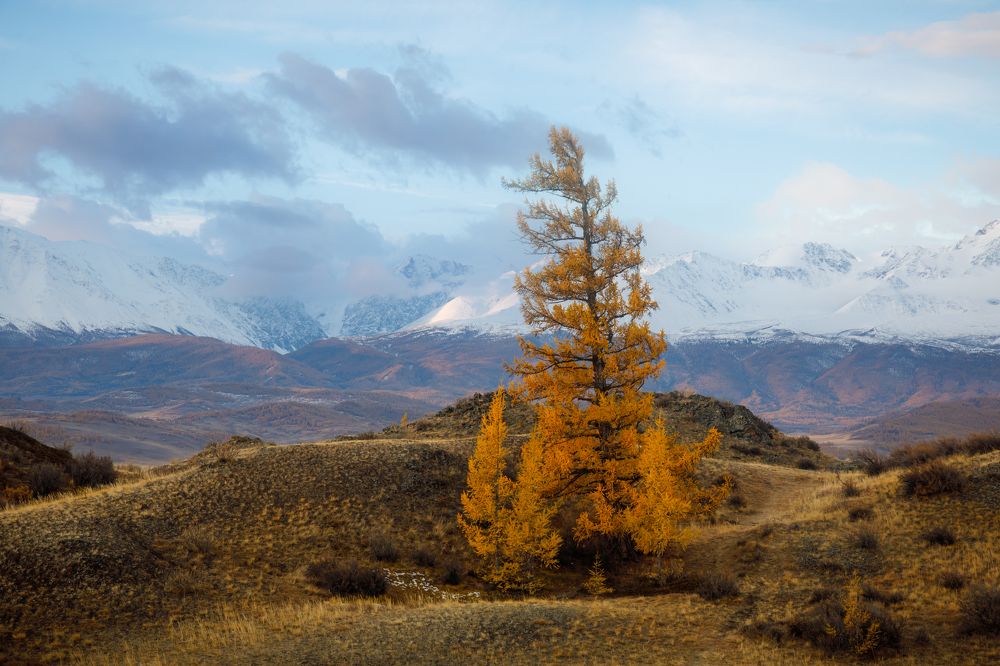 Photograph by Мария Казакова