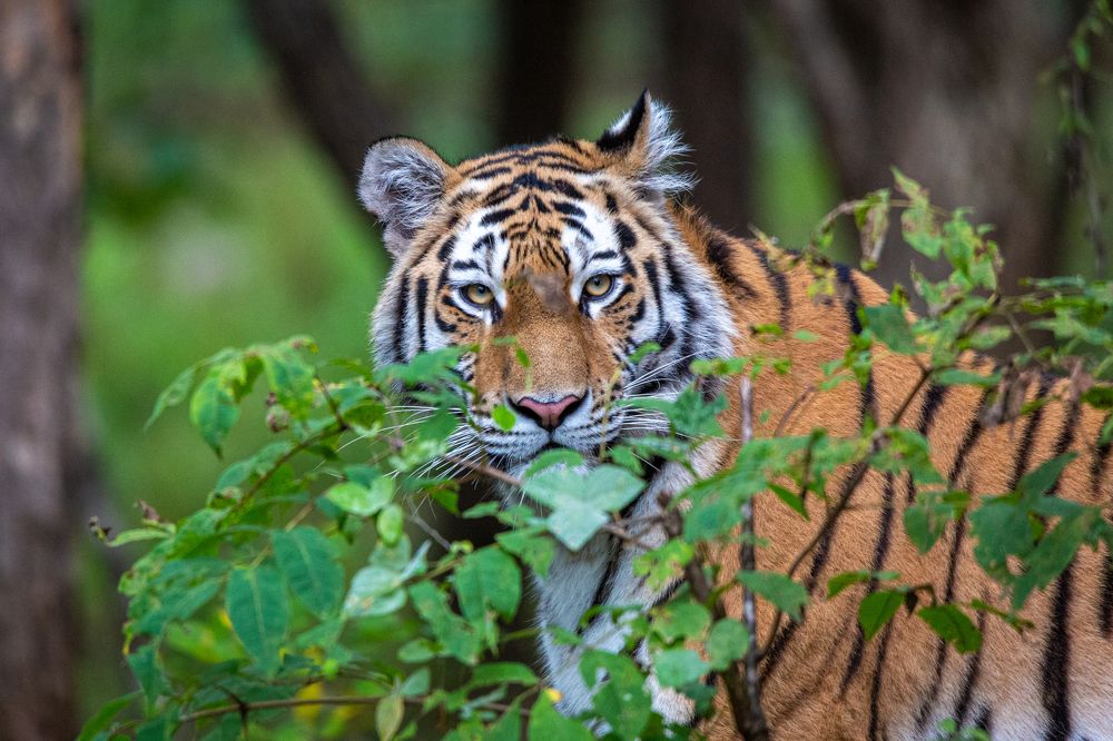 Photograph by Sergey