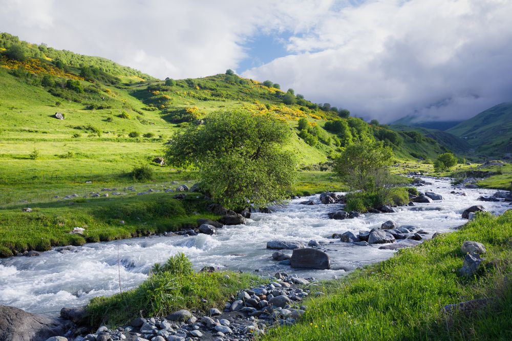 Фотография автора Мария Казакова