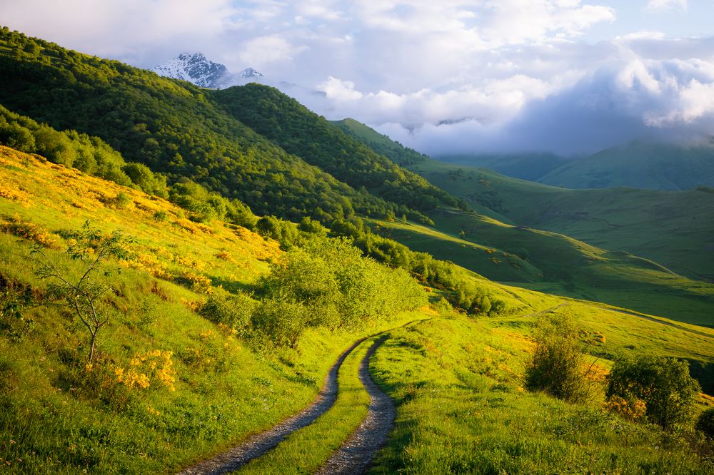 Photograph by Мария Казакова