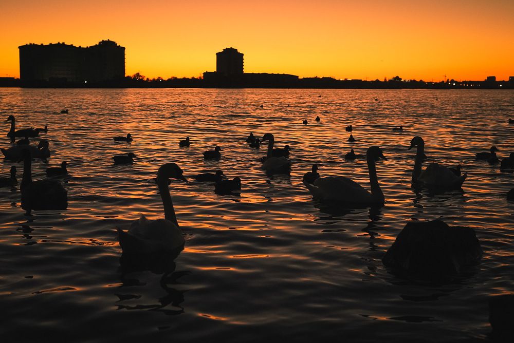 Фотография автора Татьяна Тур